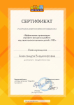 Сертификат участника всероссийского  вебинара